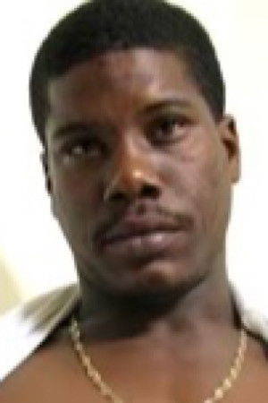 et billede af Boogie