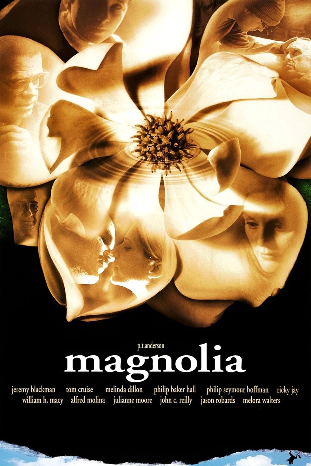 Affiche du film Magnolia 9127