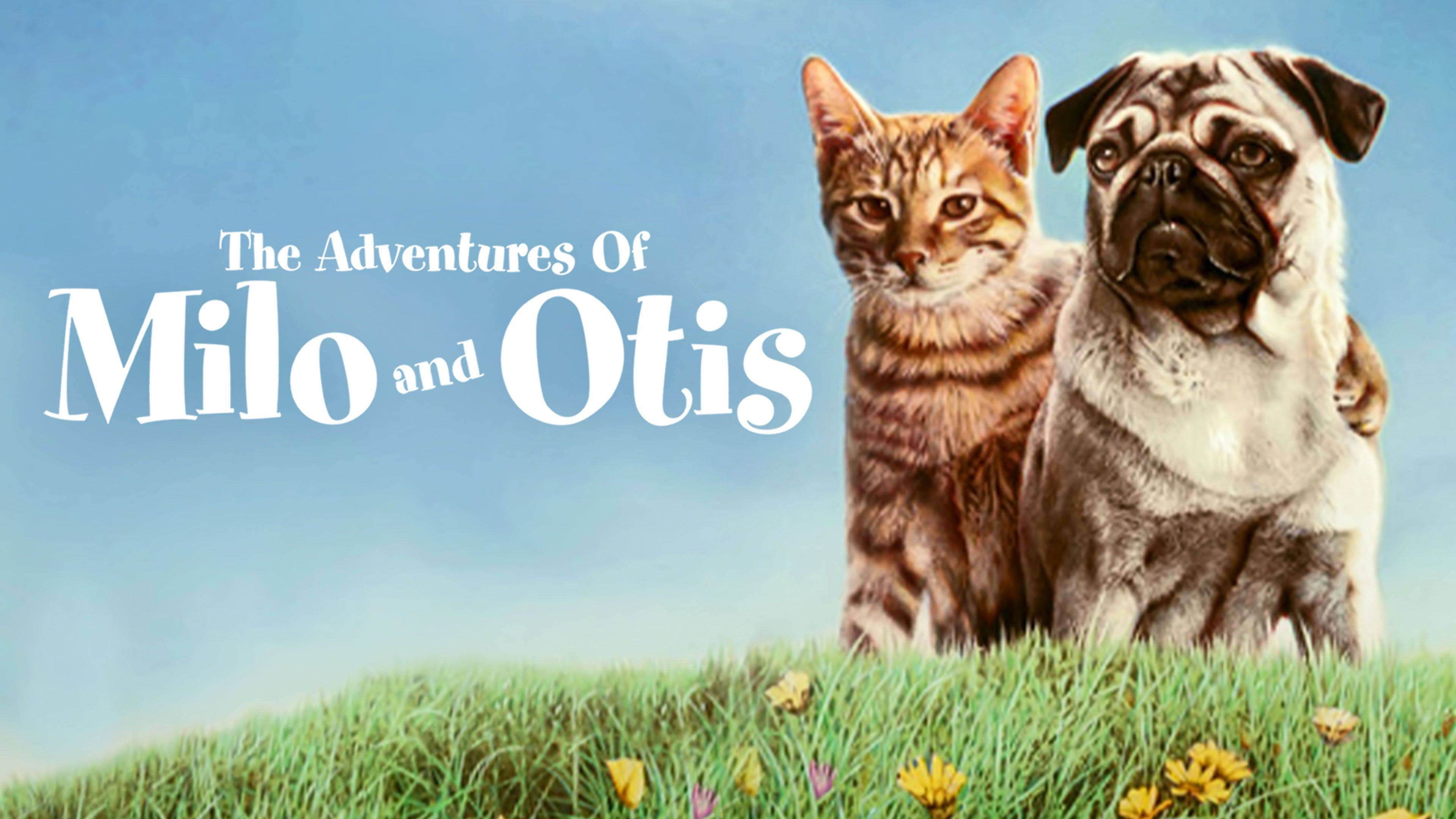 Milo és Otis kalandjai (1986)