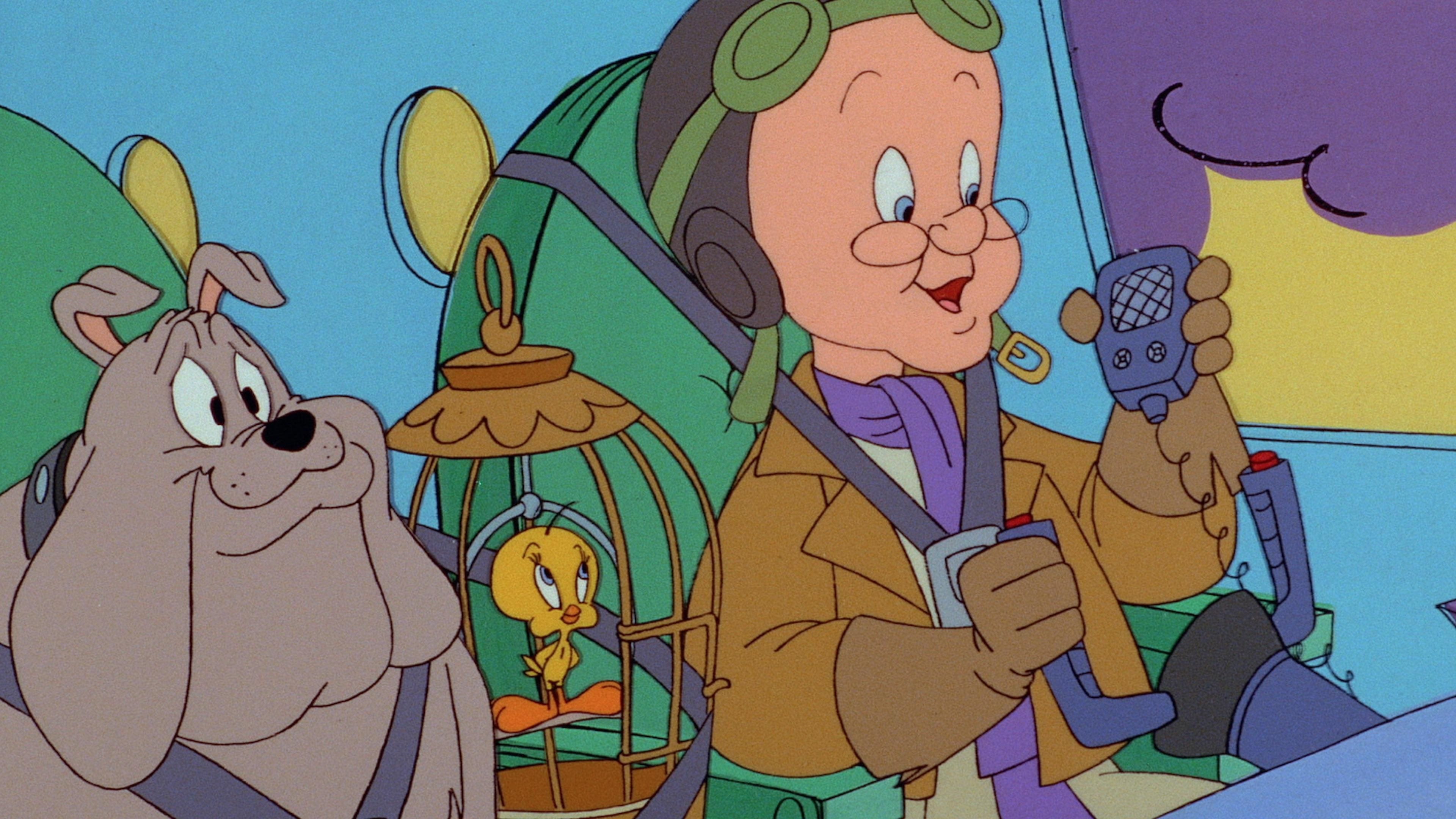 The Sylvester & Tweety Mysteries