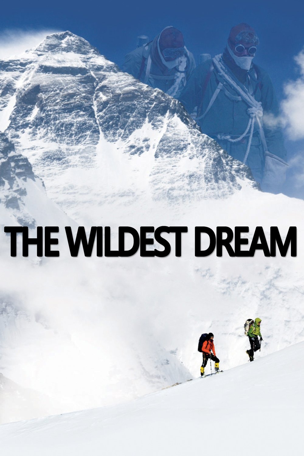 The Wildest Dream poster image
