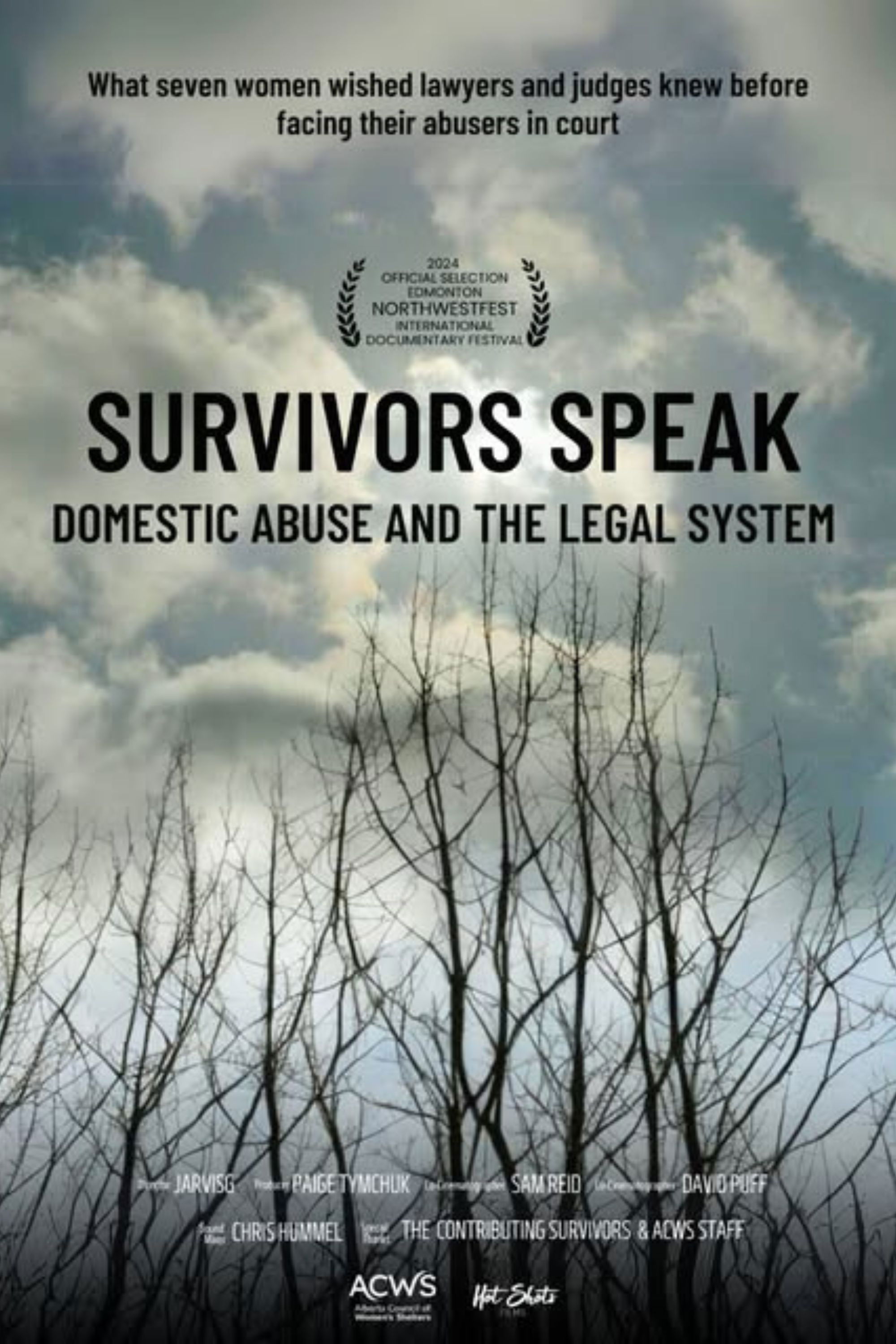 Survivors Speak: Domestic Abuse & the Legal System