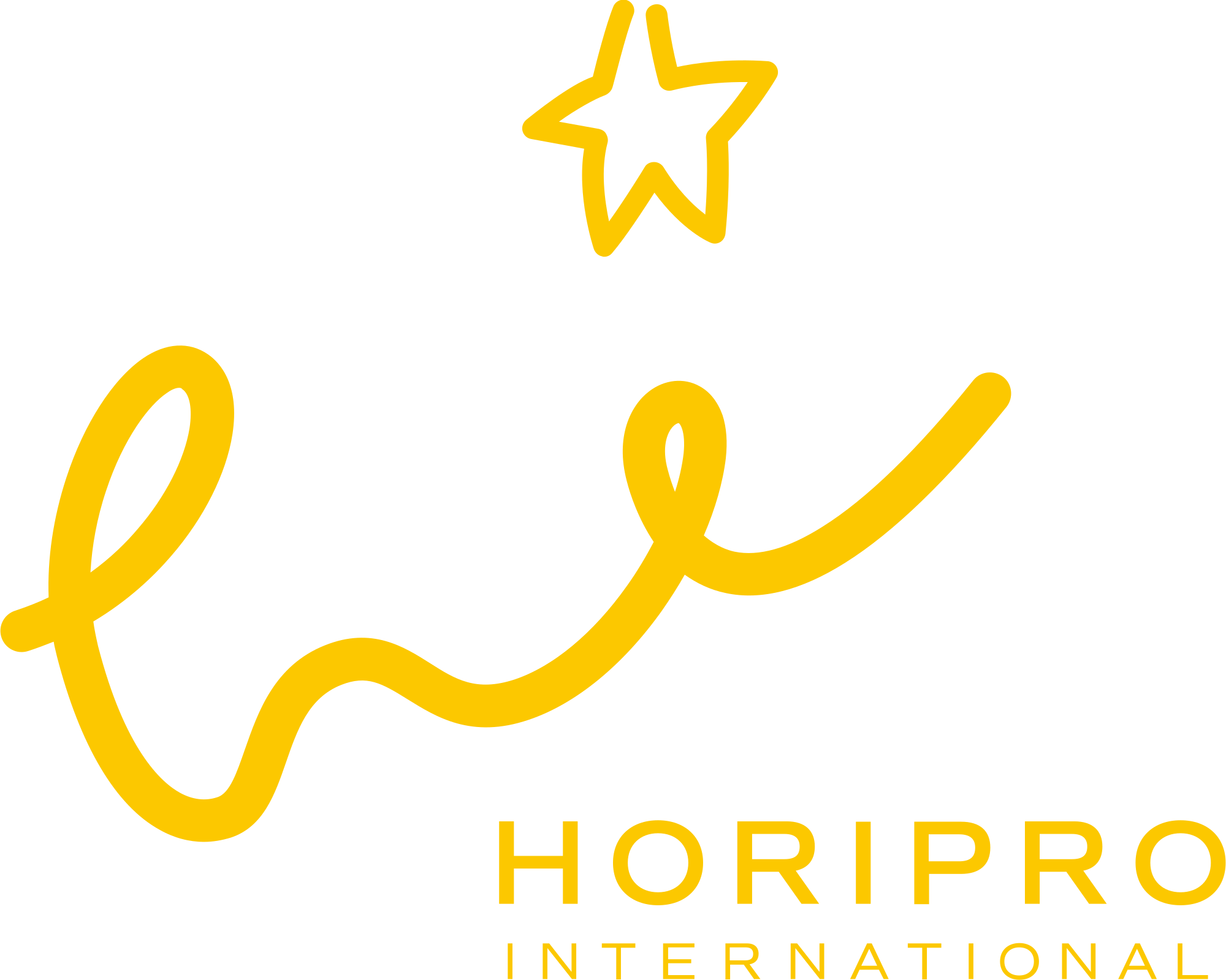 HoriPro International