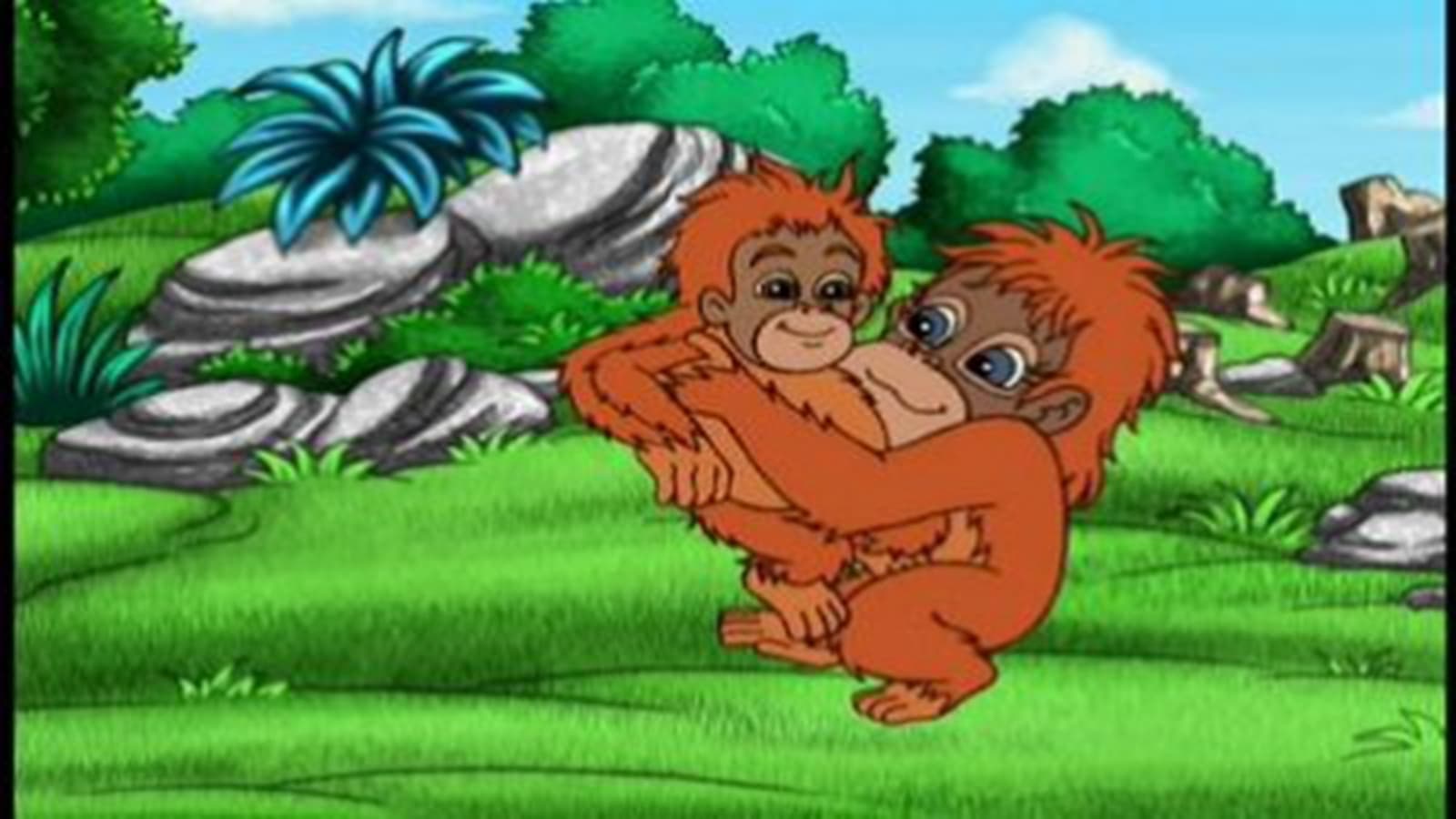 Go, Diego, Go!