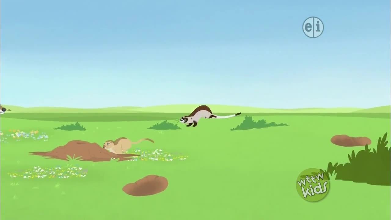 Wild Kratts - Épisode 10