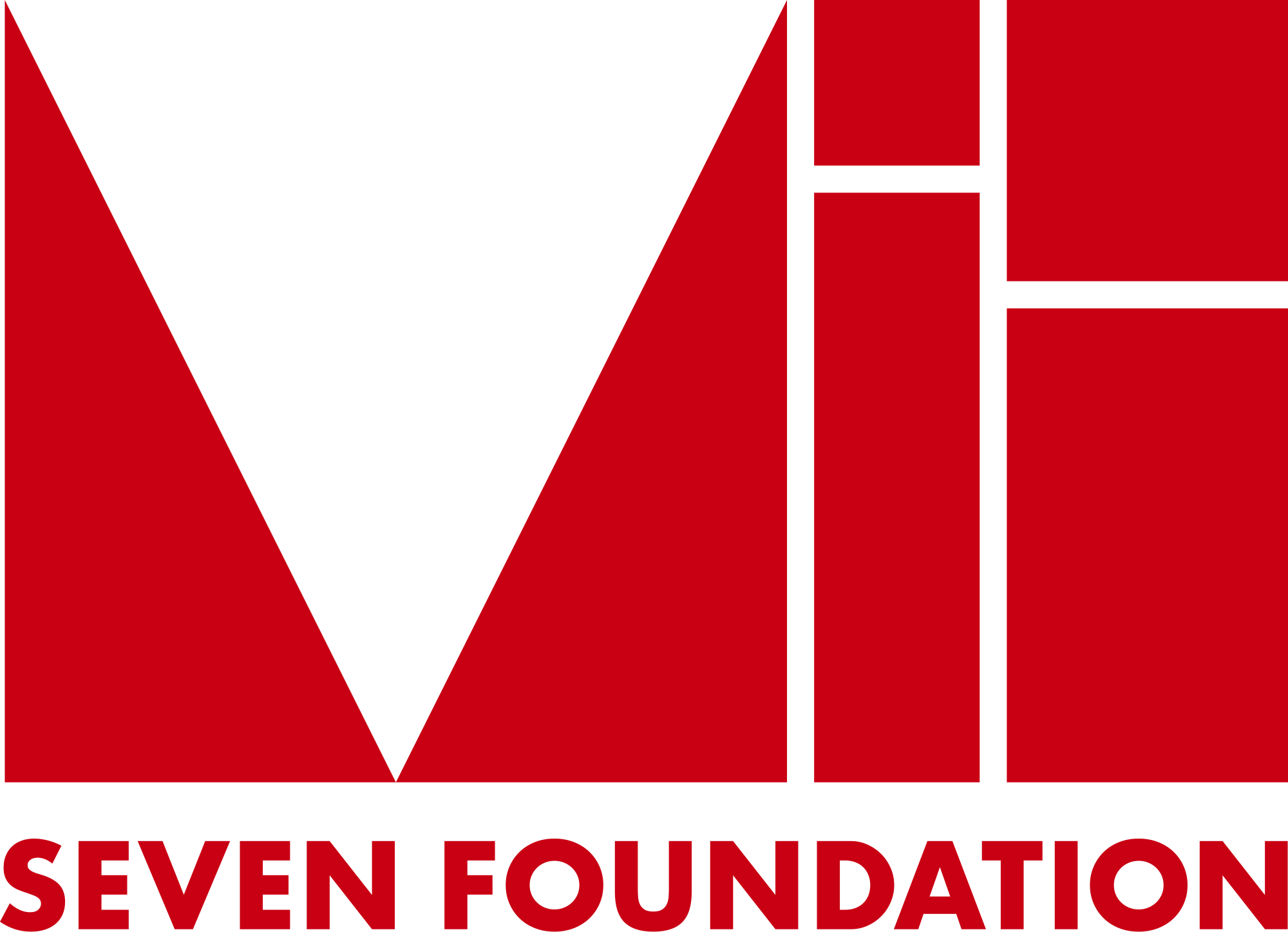 The VII Foundation