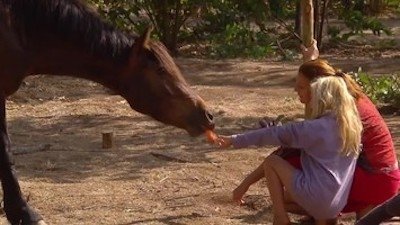 Thumbnail for Episode 13 Season 1 Episode 13