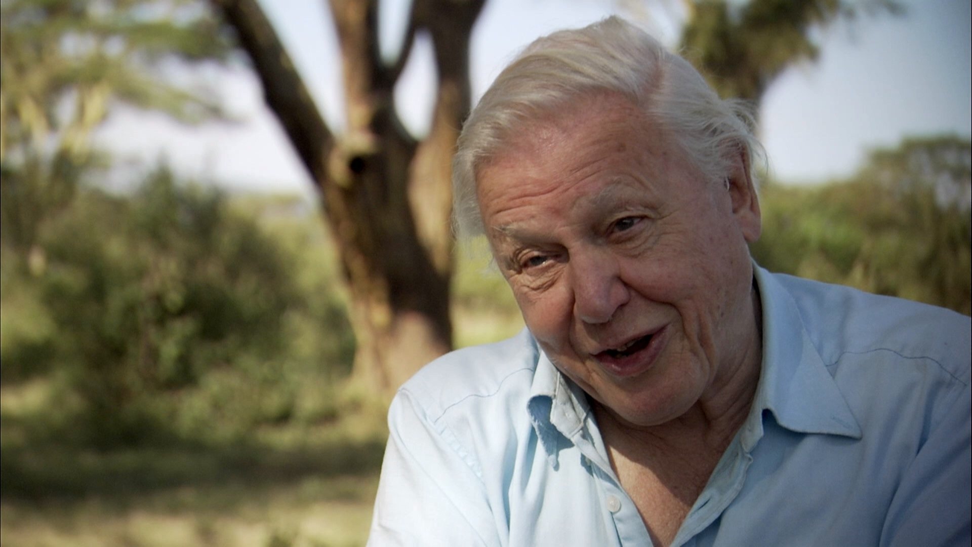 Thumbnail for Interview with Sir David Attenborough Season 0 Episode 10
