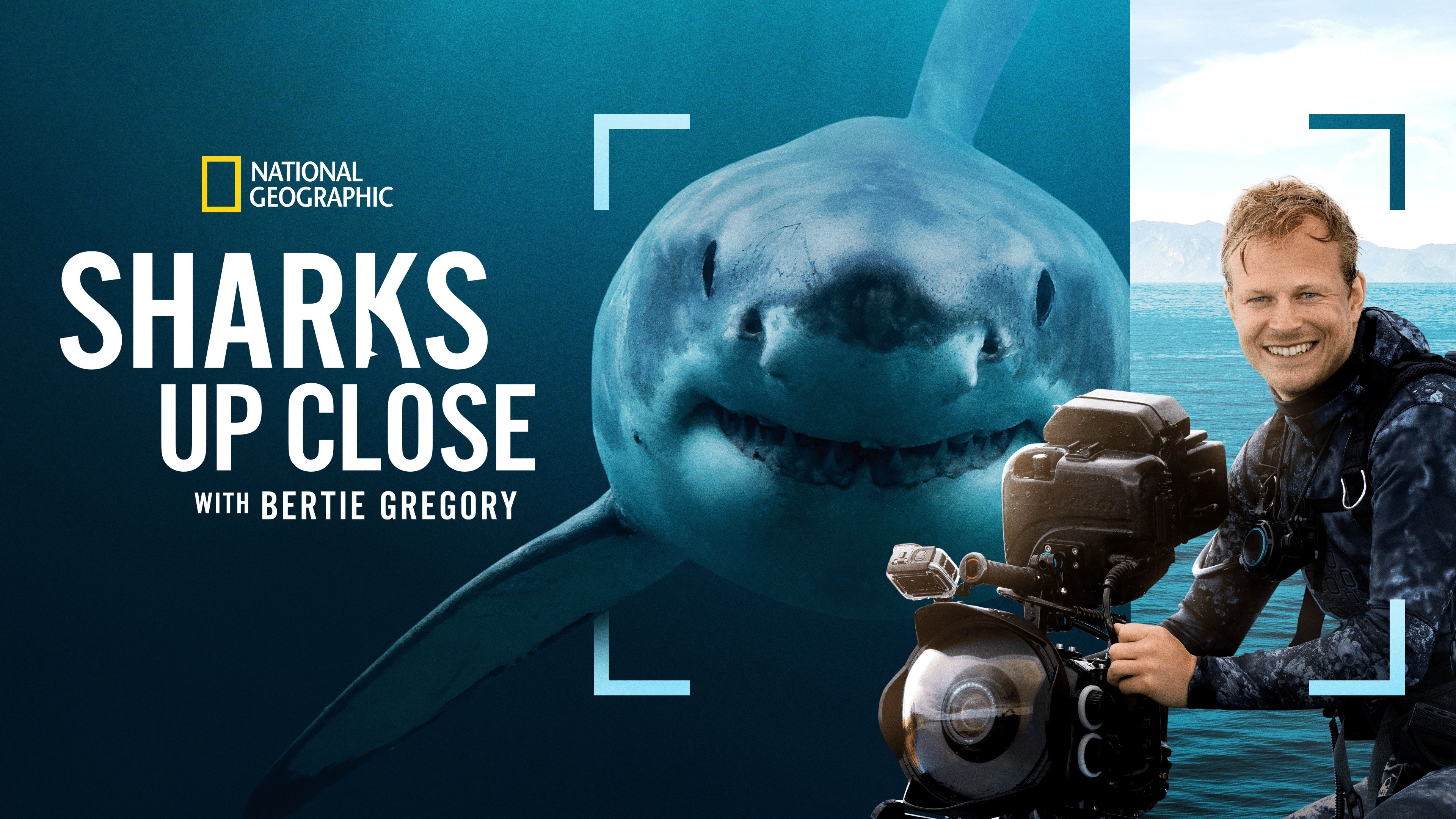 Sharks Up Close with Bertie Gregory backdrop