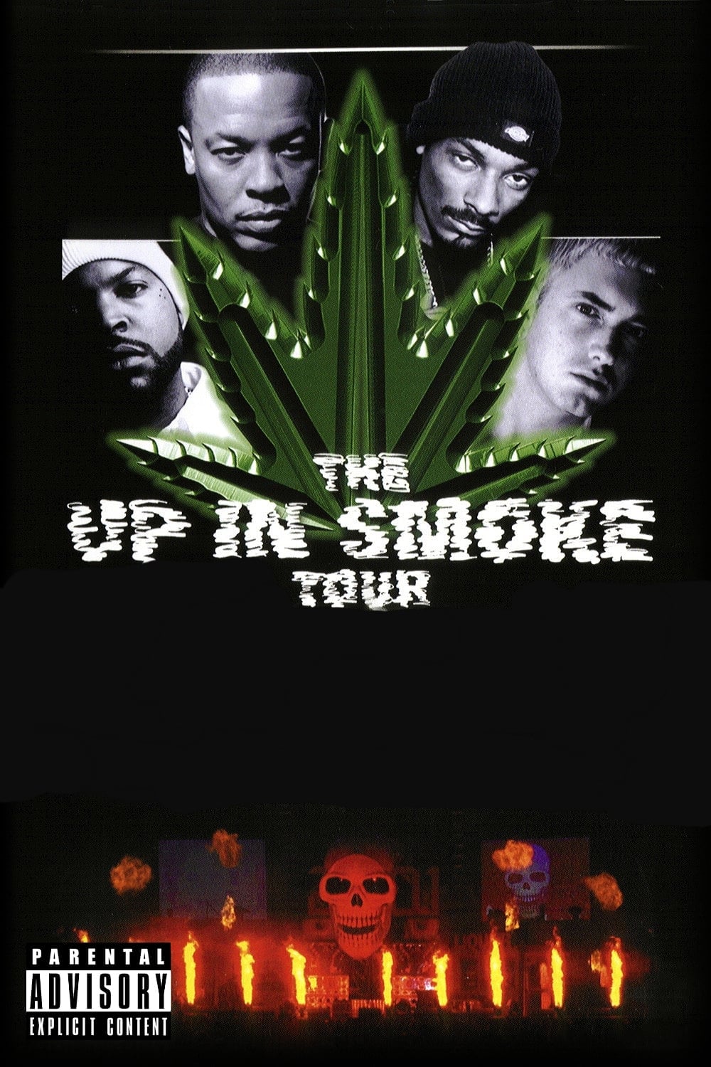 up in smoke tour revenue