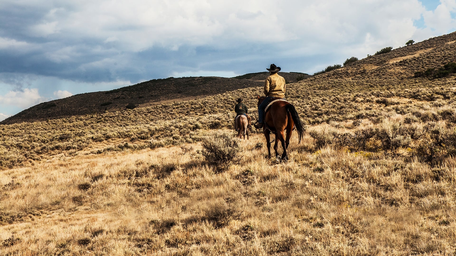 Yellowstone - Season 4