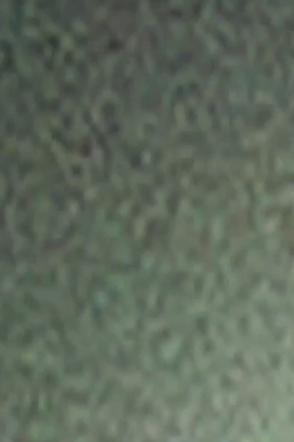Content cover