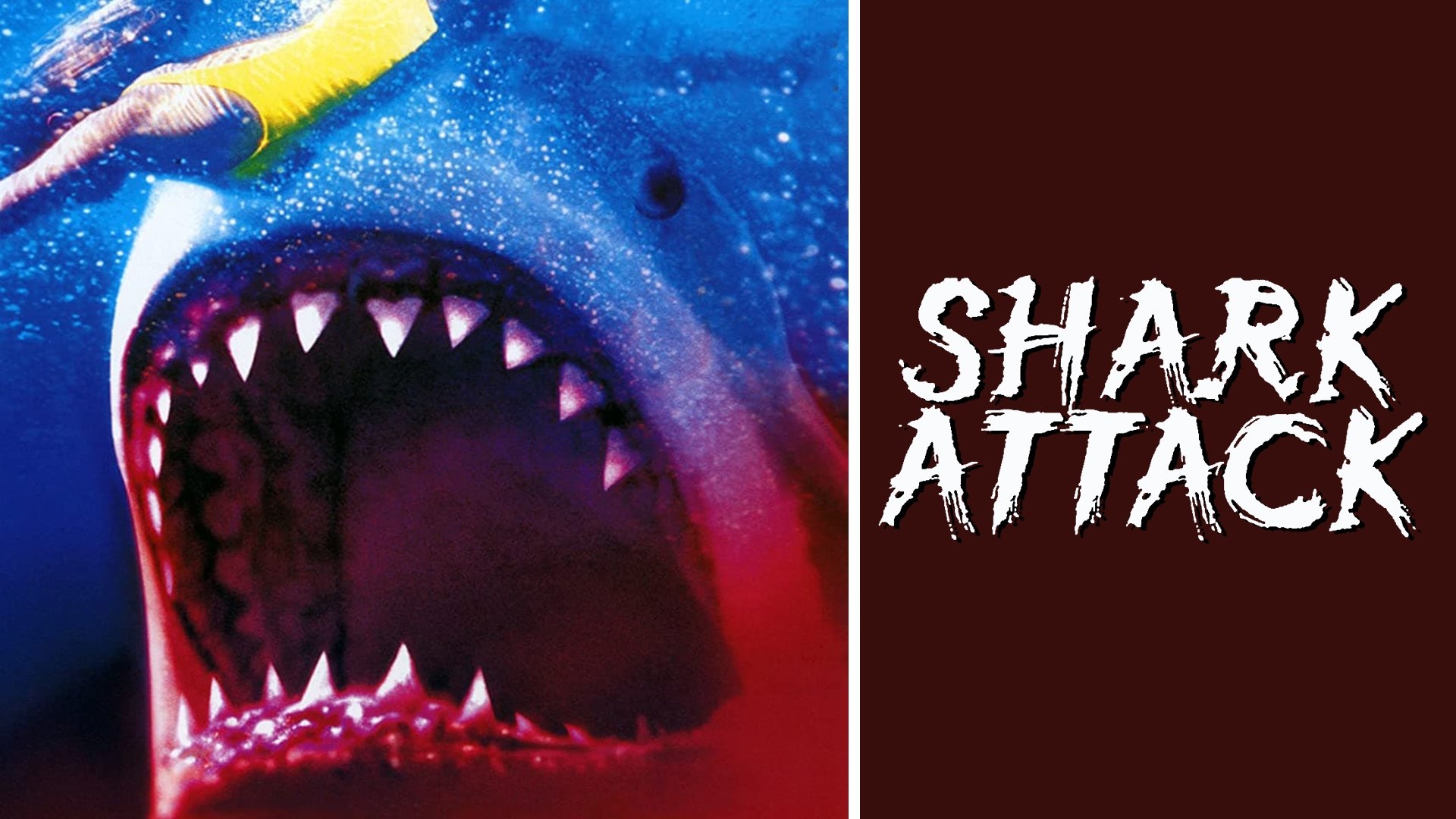 Shark Attack