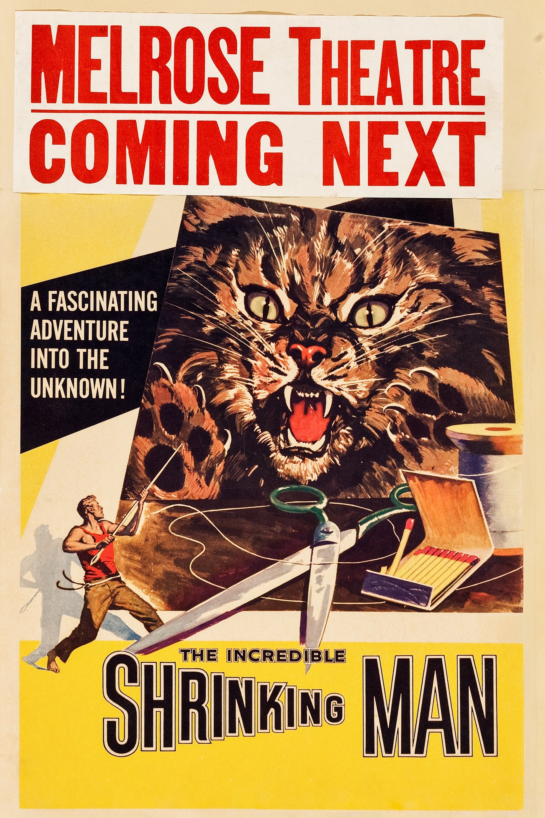 The Incredible Shrinking Man