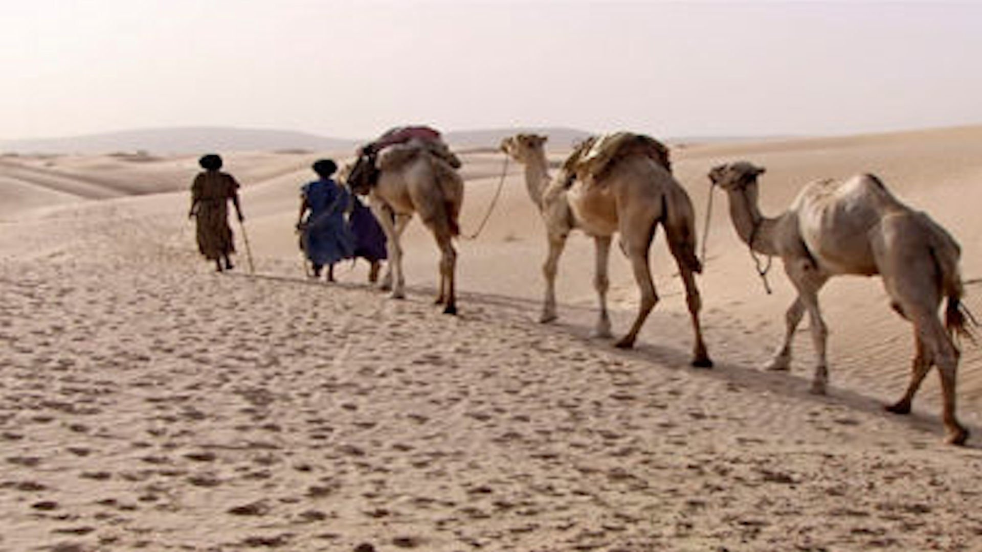 J'ai vu changer la Terre - Mali, les larmes du desert