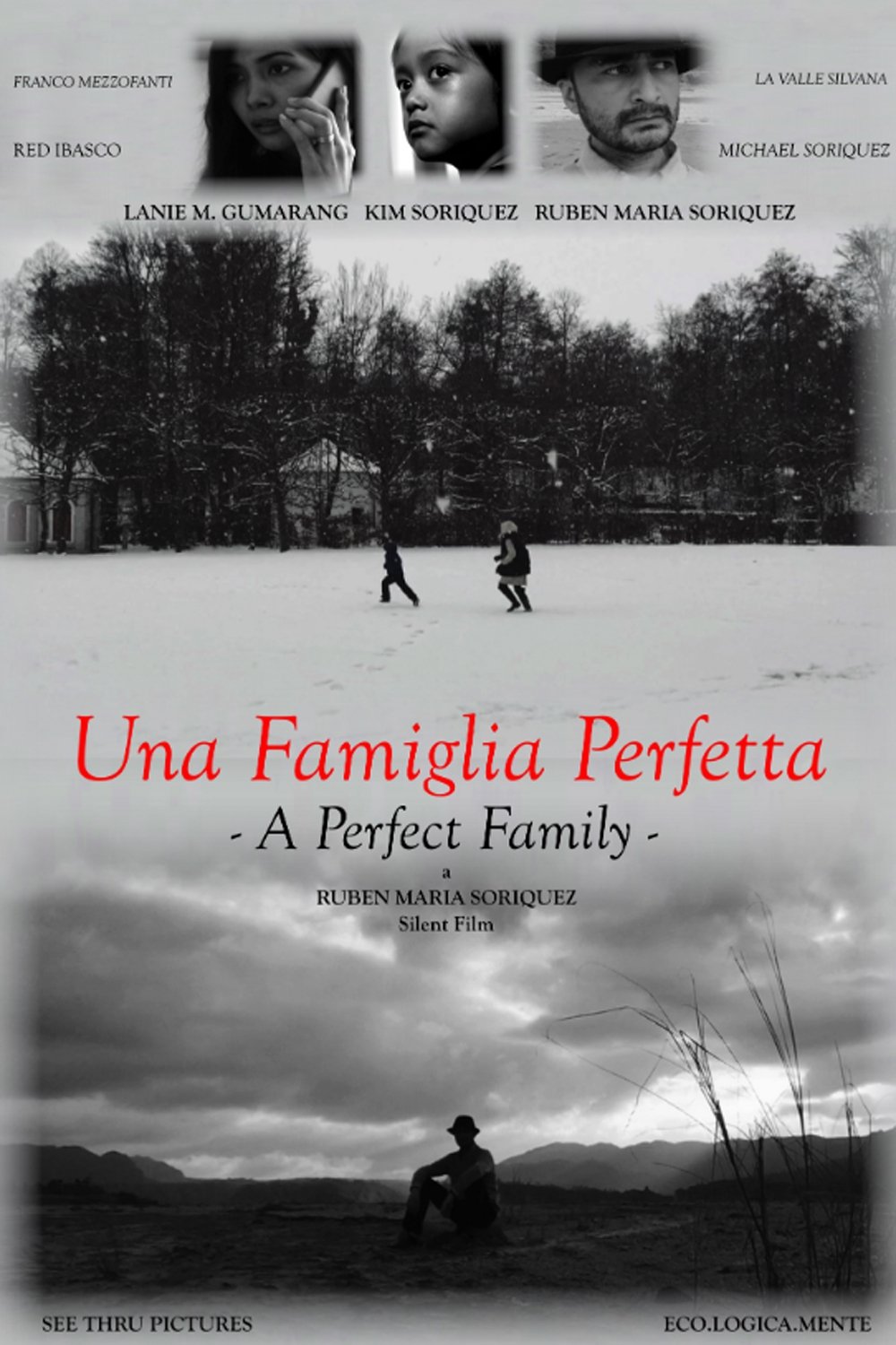 A Perfect Family A Perfect Family