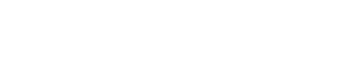 When Big Things Go Wrong