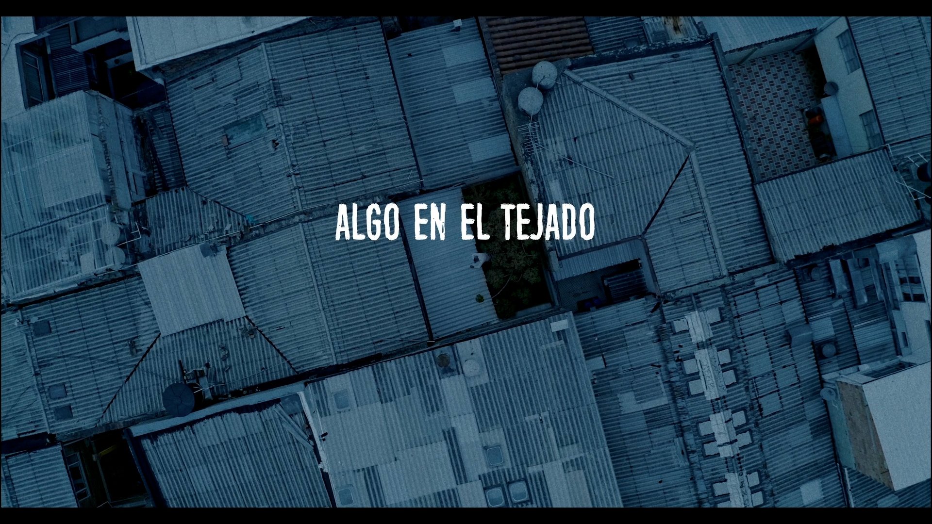 Algo en el tejado (2021)