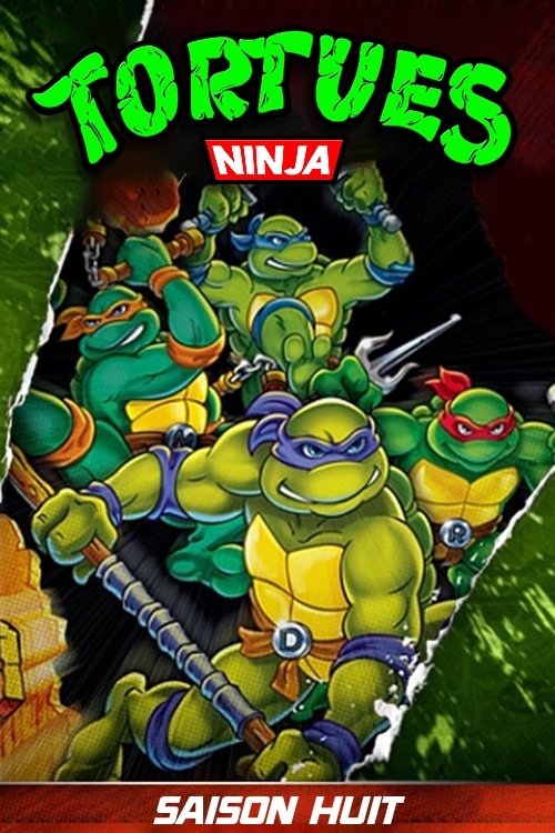 Artwork de la saison 1 de Les Tortues Ninja : Les Chevaliers d'écaille