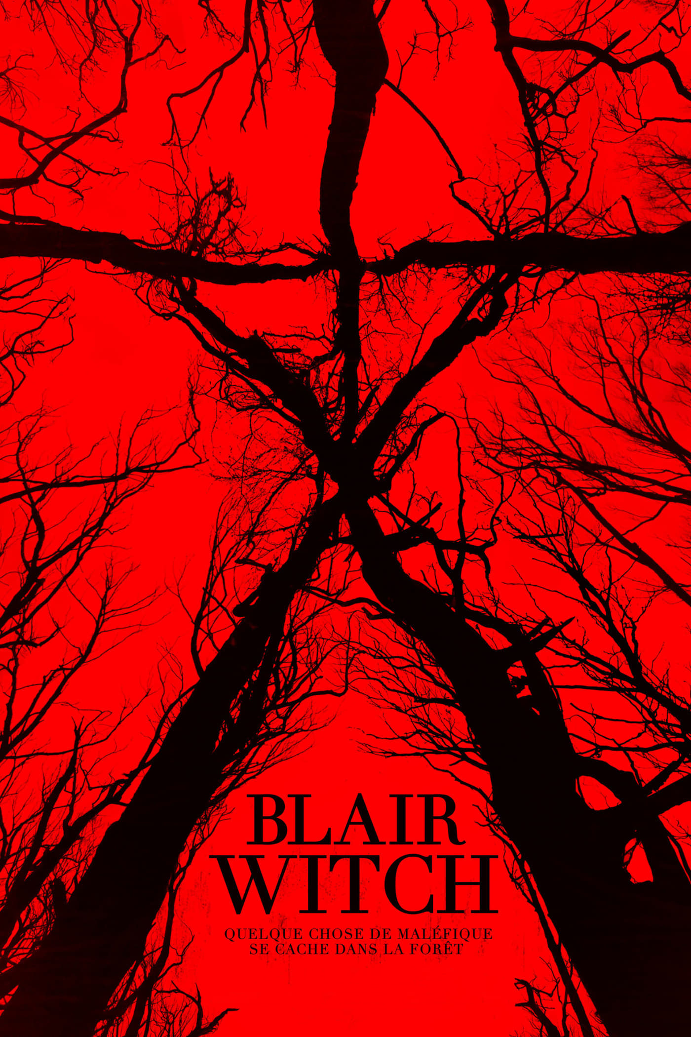 Affiche du film Blair Witch 839