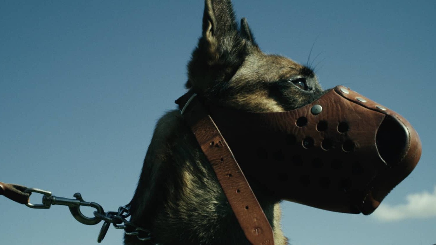 Imagem do Filme Hundesoldaten