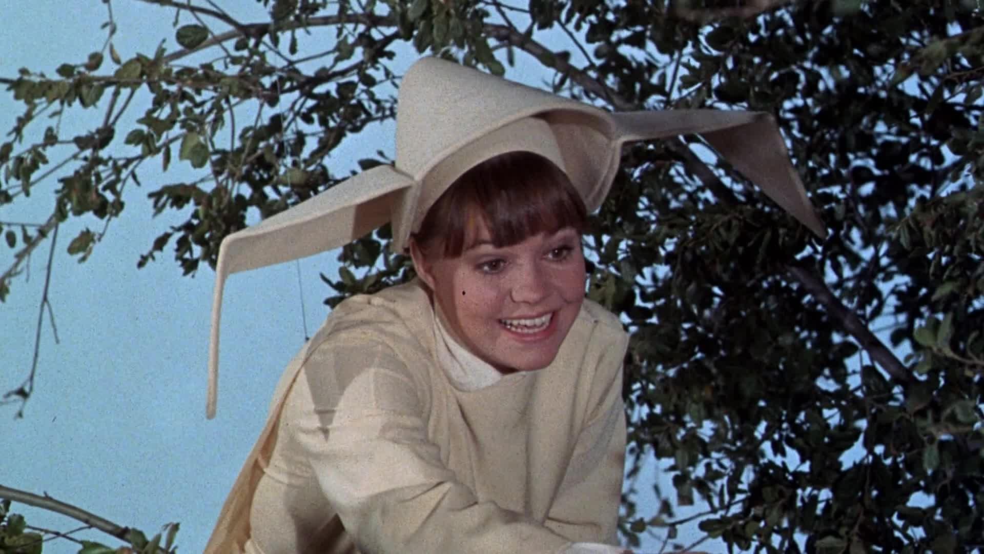 The Flying Nun