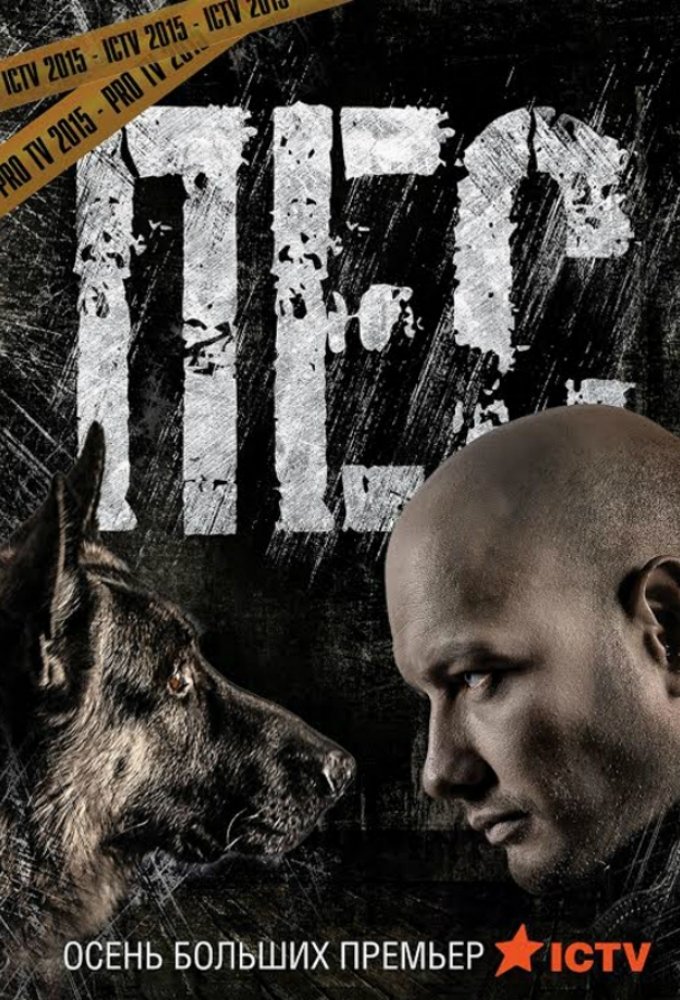 Dog poster cover