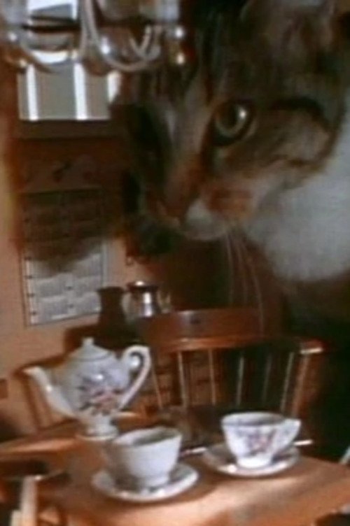 Movie image of : Doll House