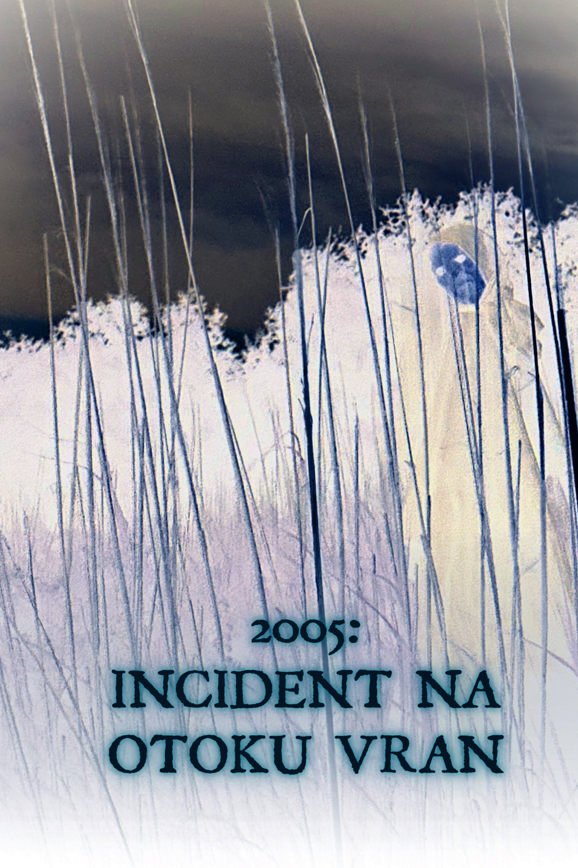 2005: The Vran island incident