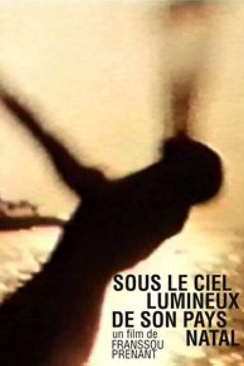 Affiche du film Sous le ciel lumineux de son pays natal 11419