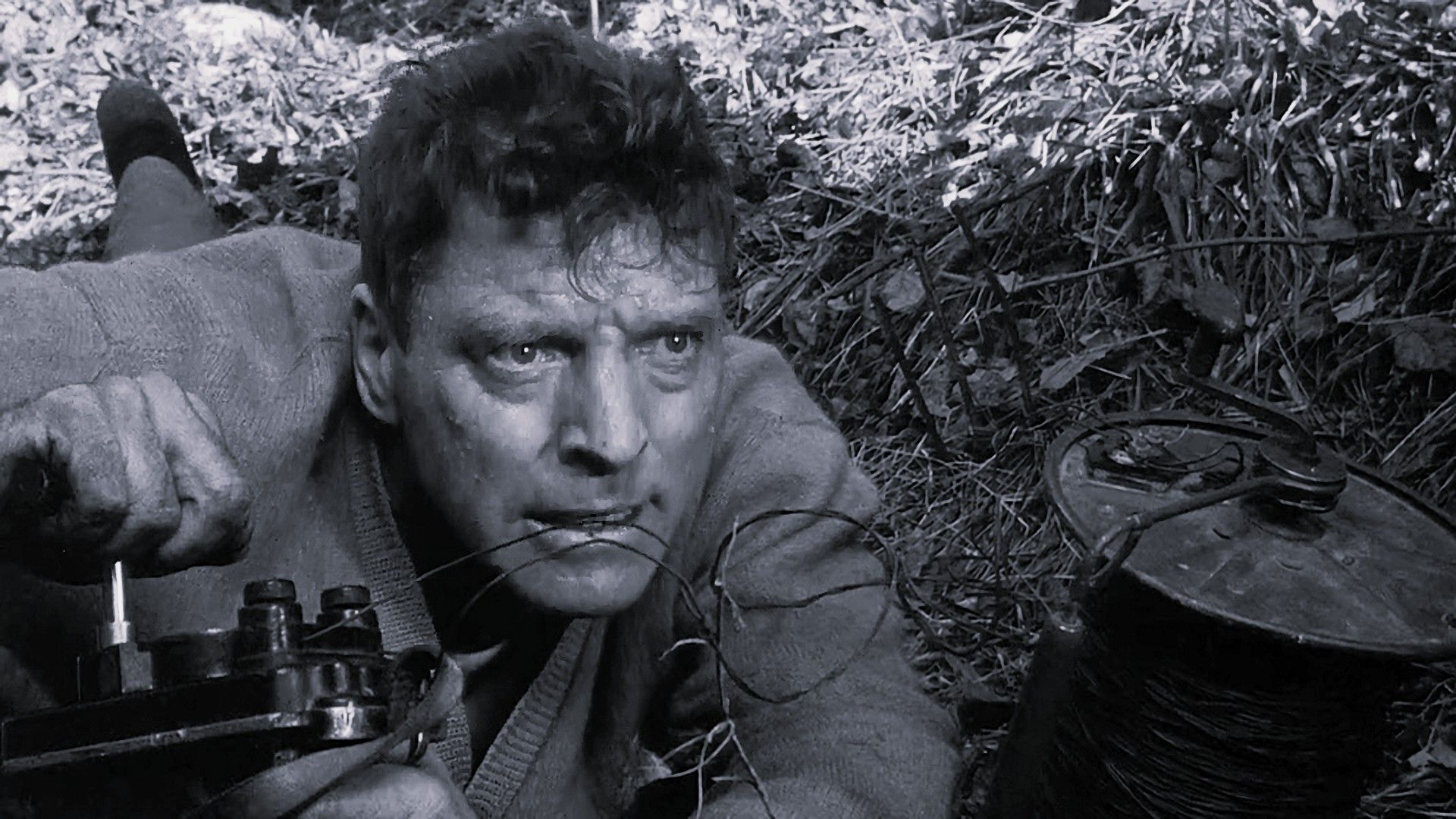 Media image