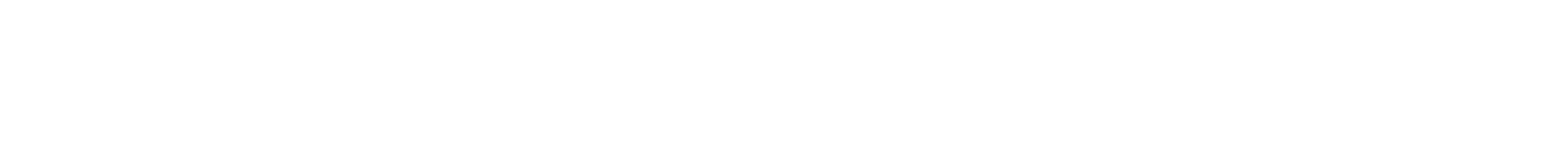 Extraordinary Logo
