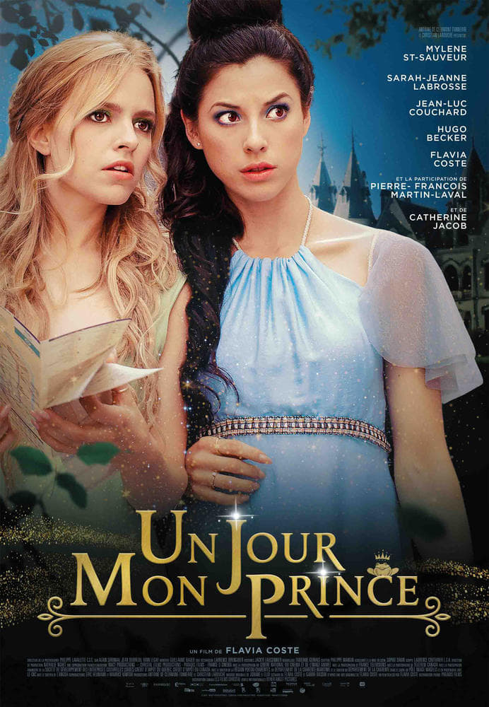 Affiche du film Un jour mon prince 953