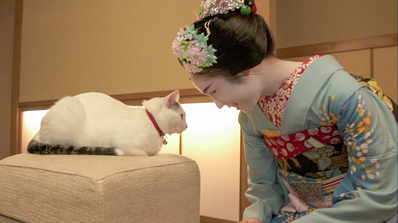 A Cat's-Eye View of Japan - Épisode 19