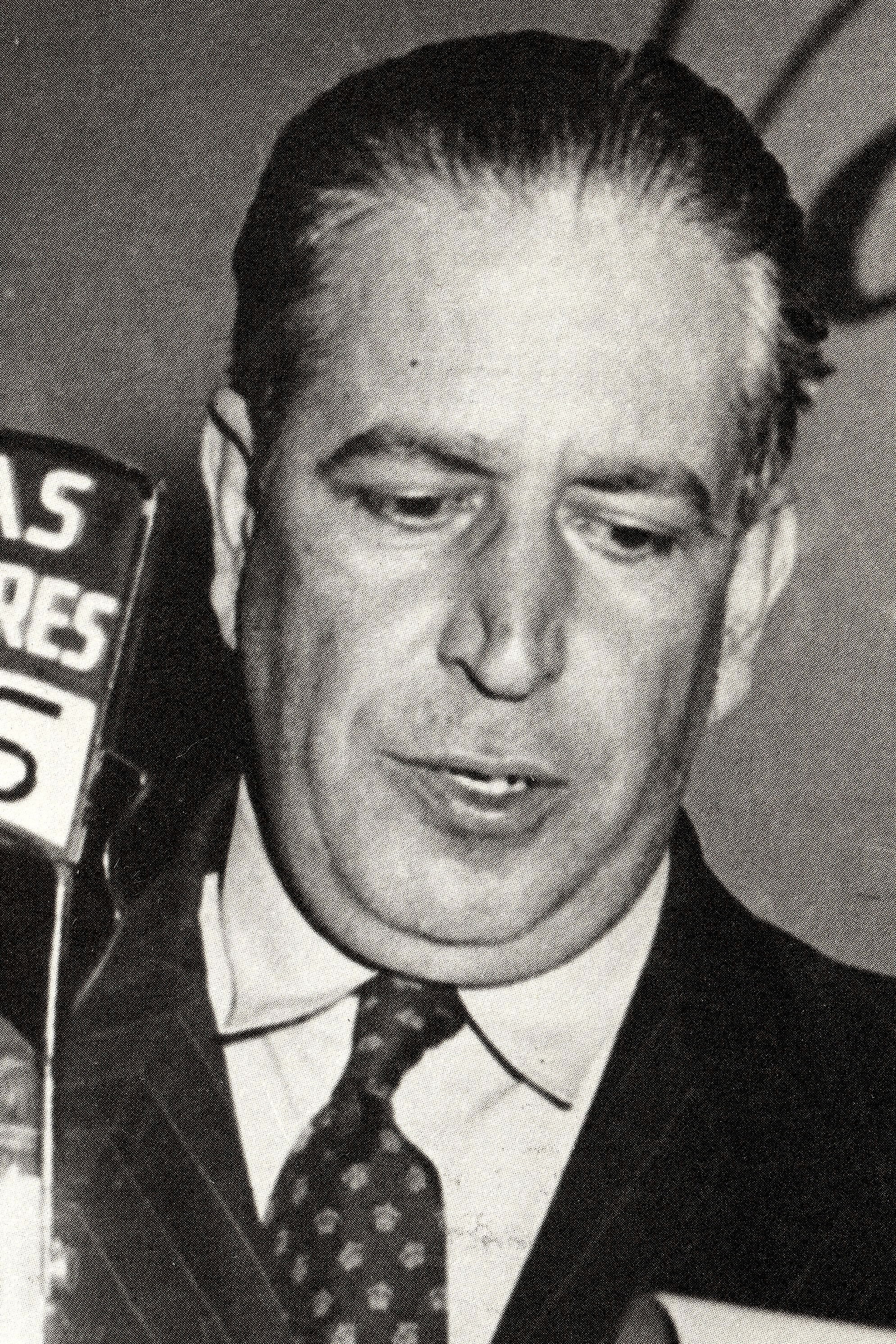 et billede af Fini Veracochea