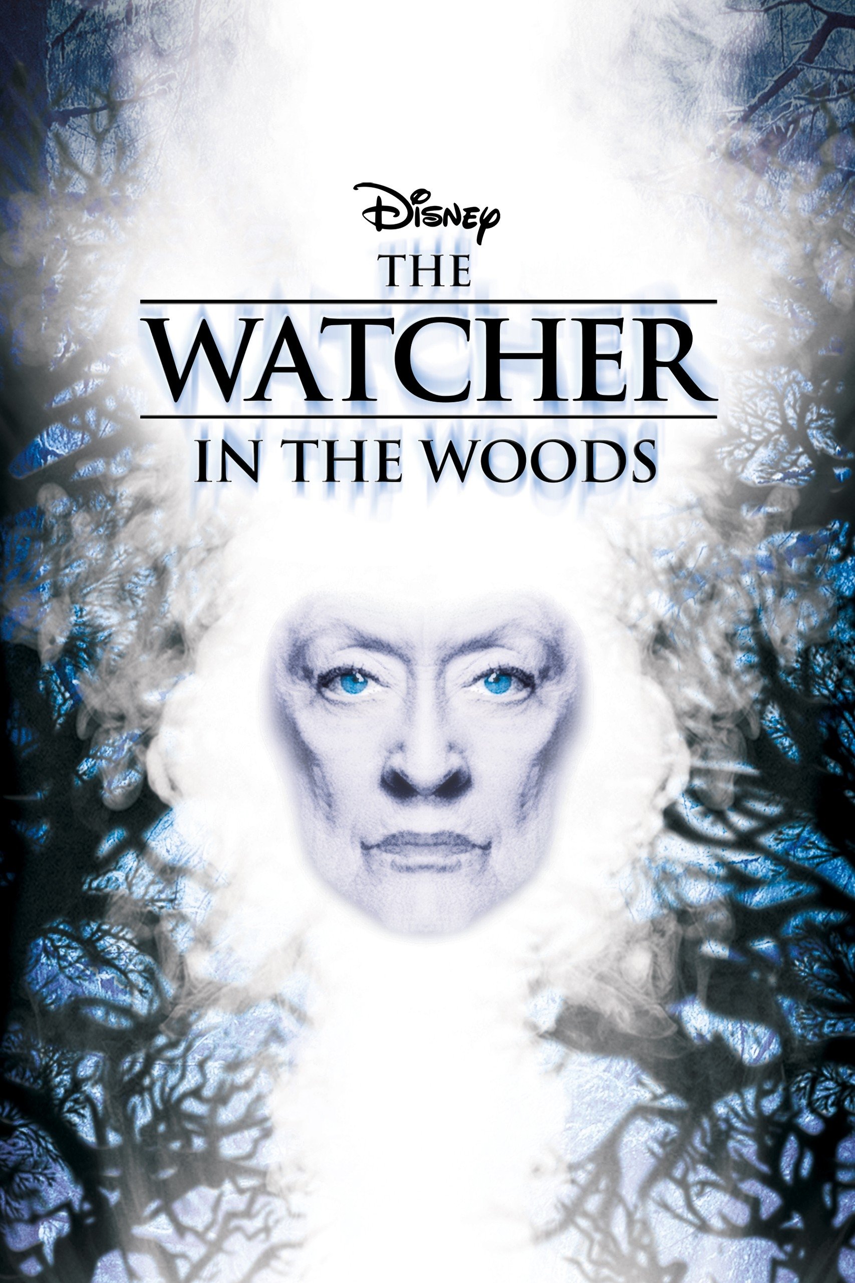 The Watcher in the Woods poster image