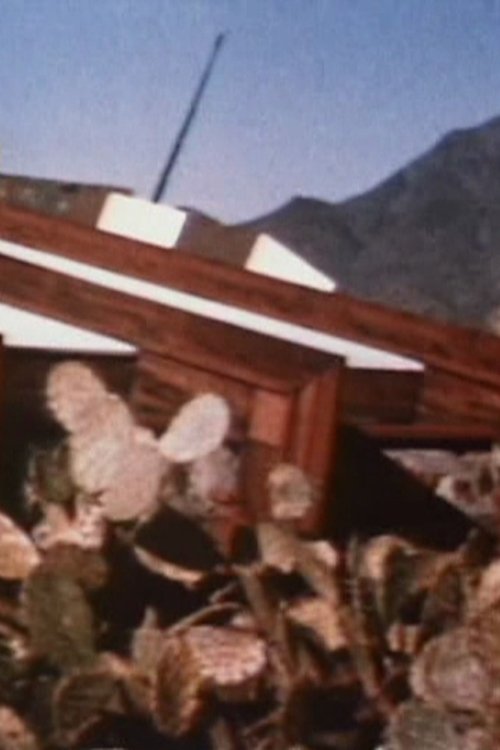 Taliesin - West backdrop