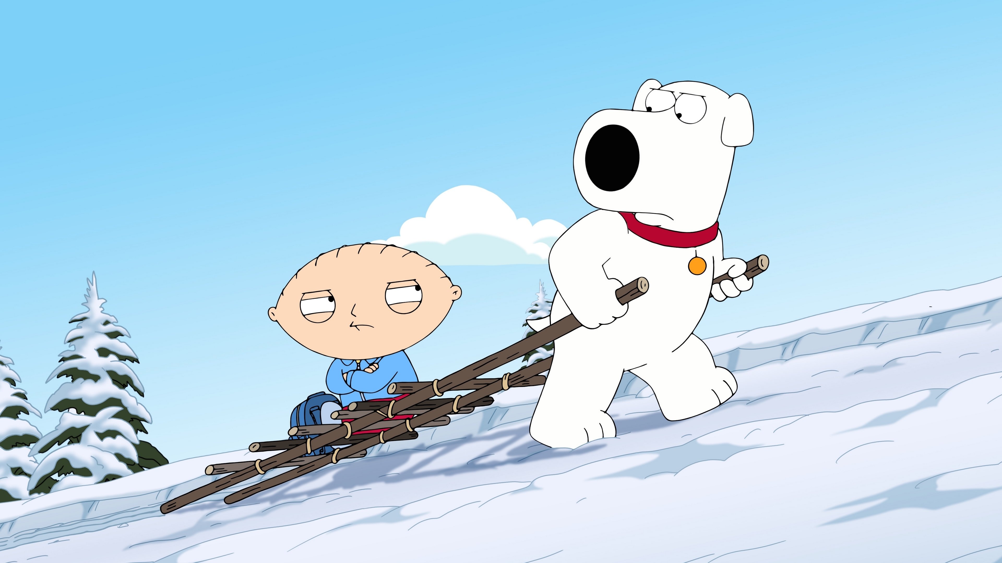 Family Guy Season 16 :Episode 11  Dog Bites Bear