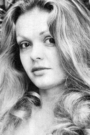 et billede af Bee Michelin