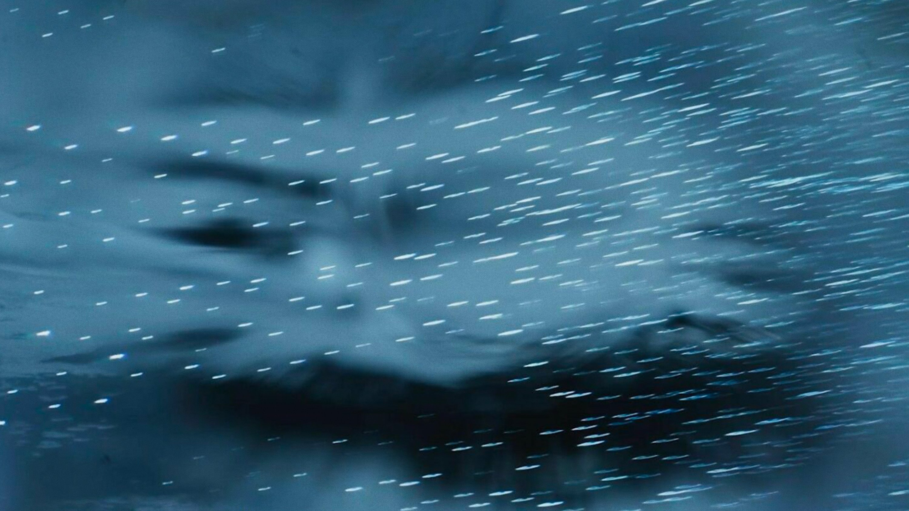 Movimentum