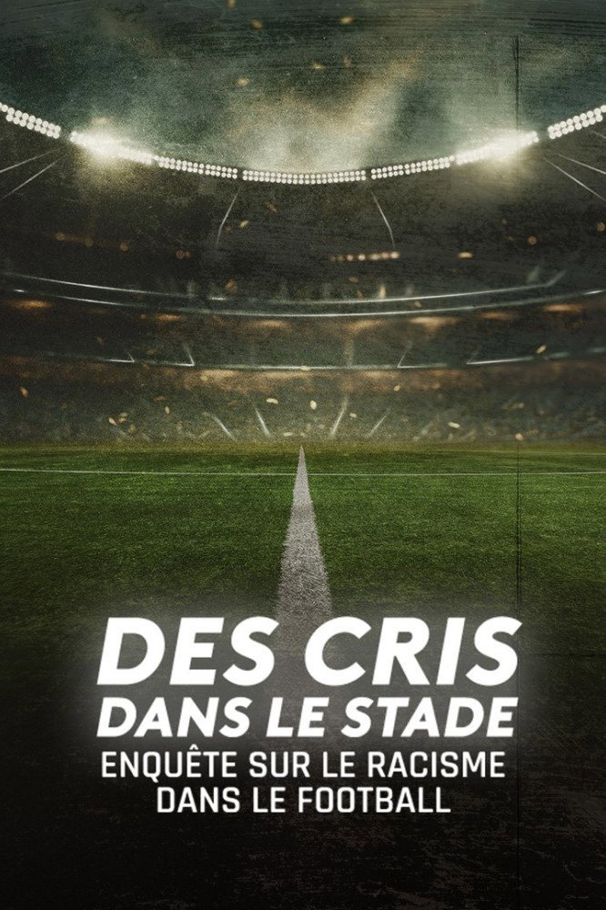 Des cris dans le stade, enqu&ecirc;te sur le racisme dans le football