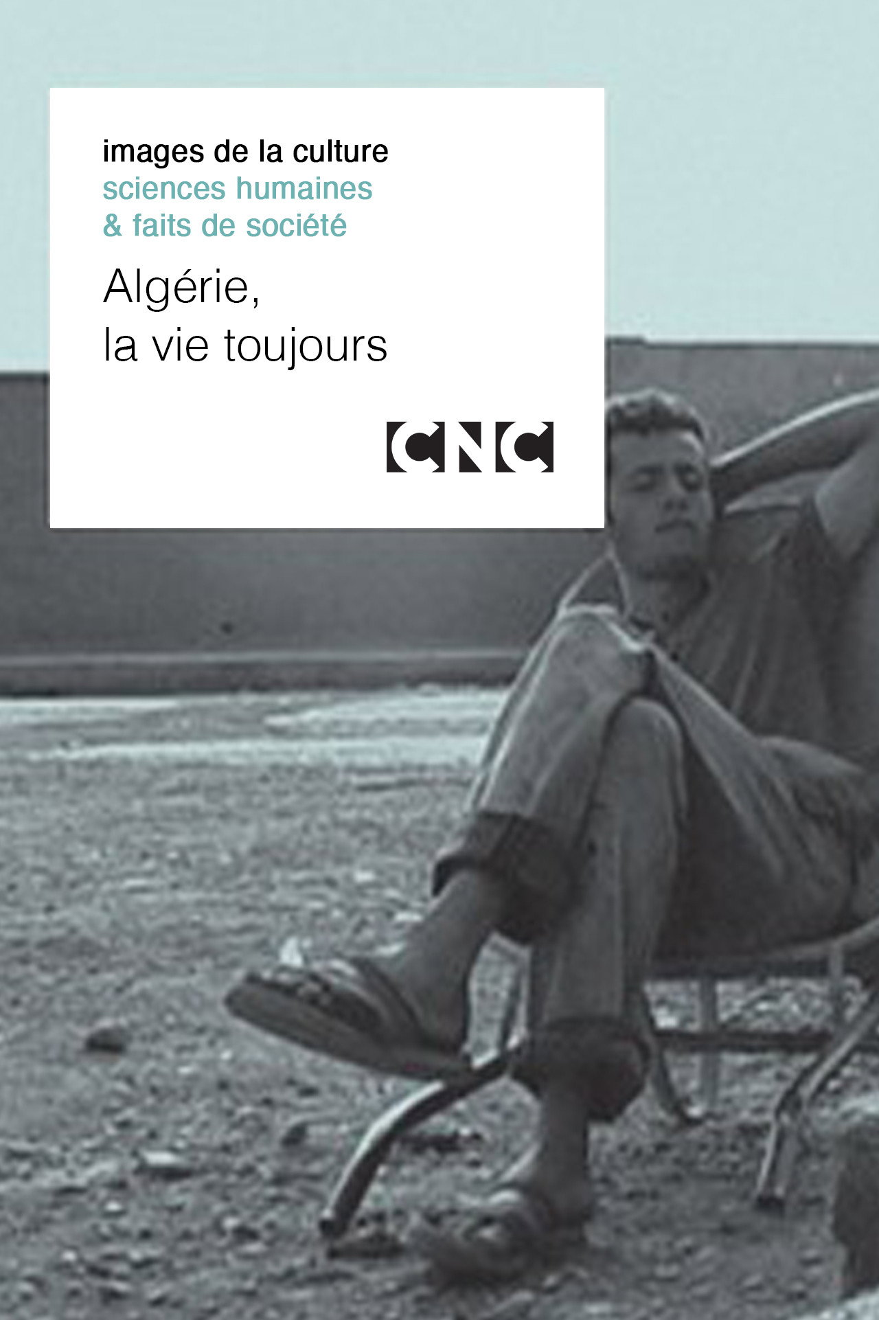 Alg&eacute;rie, la vie toujours