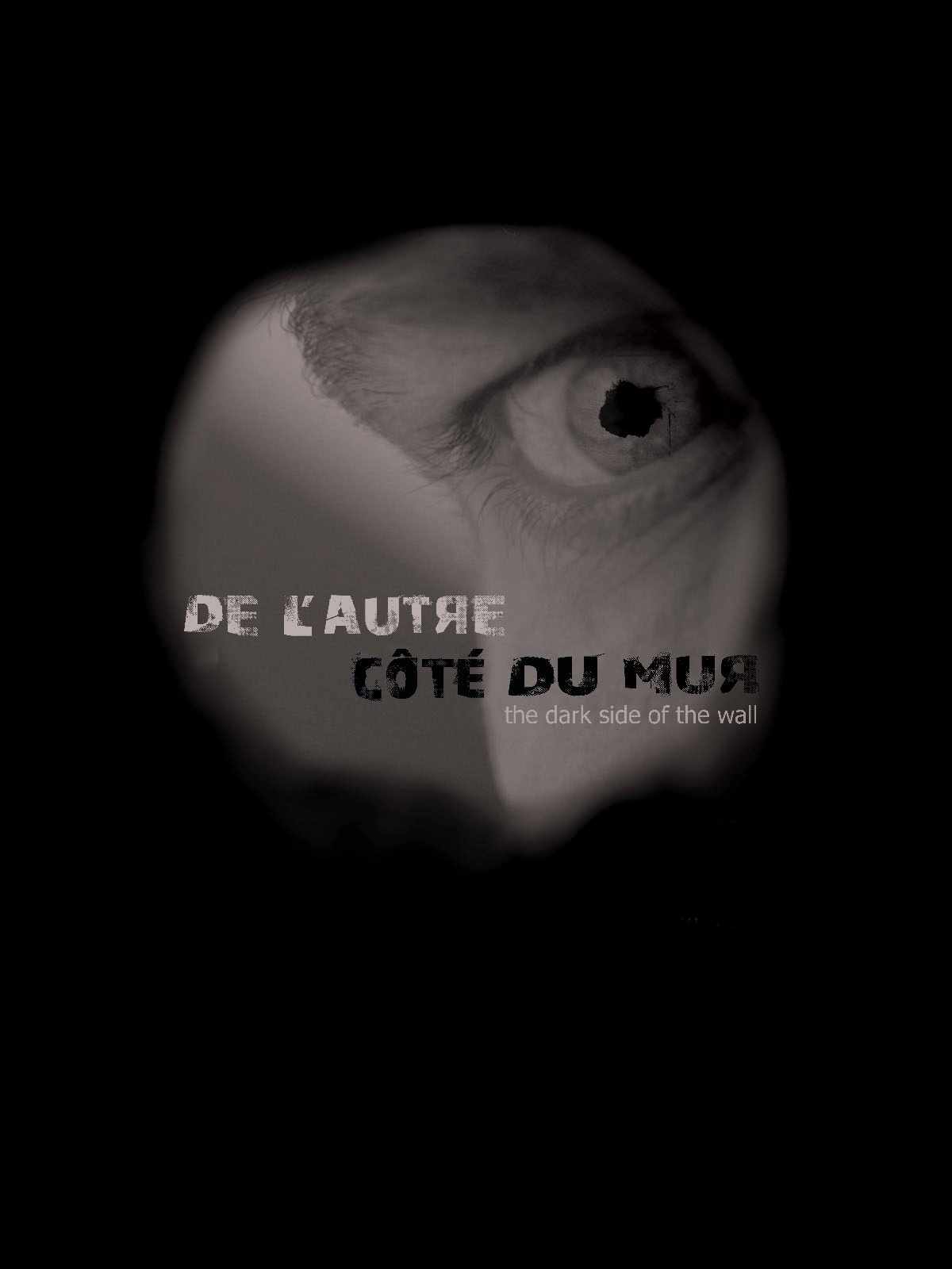 Affiche du film De l'autre côté du mur 193493