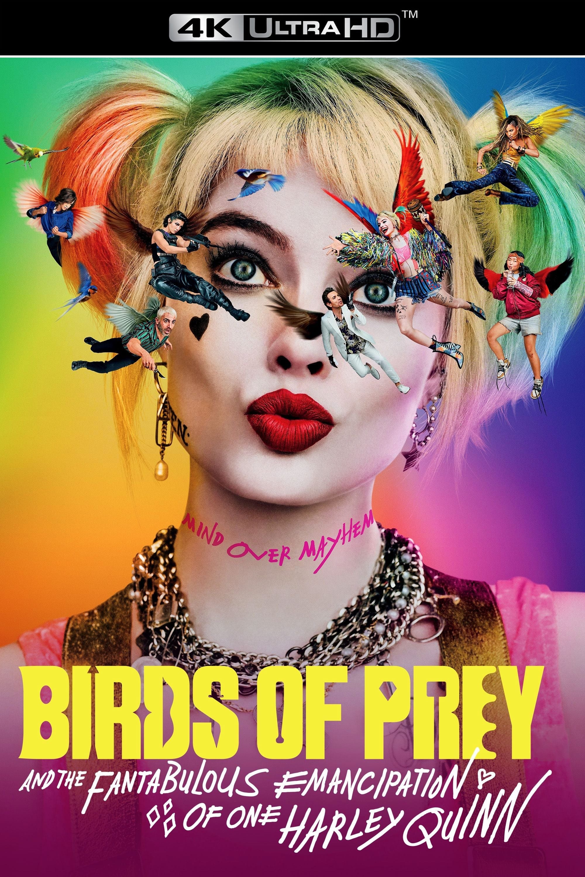 Birds of Prey (and the Fantabulous Emancipation of One Harley Quinn)