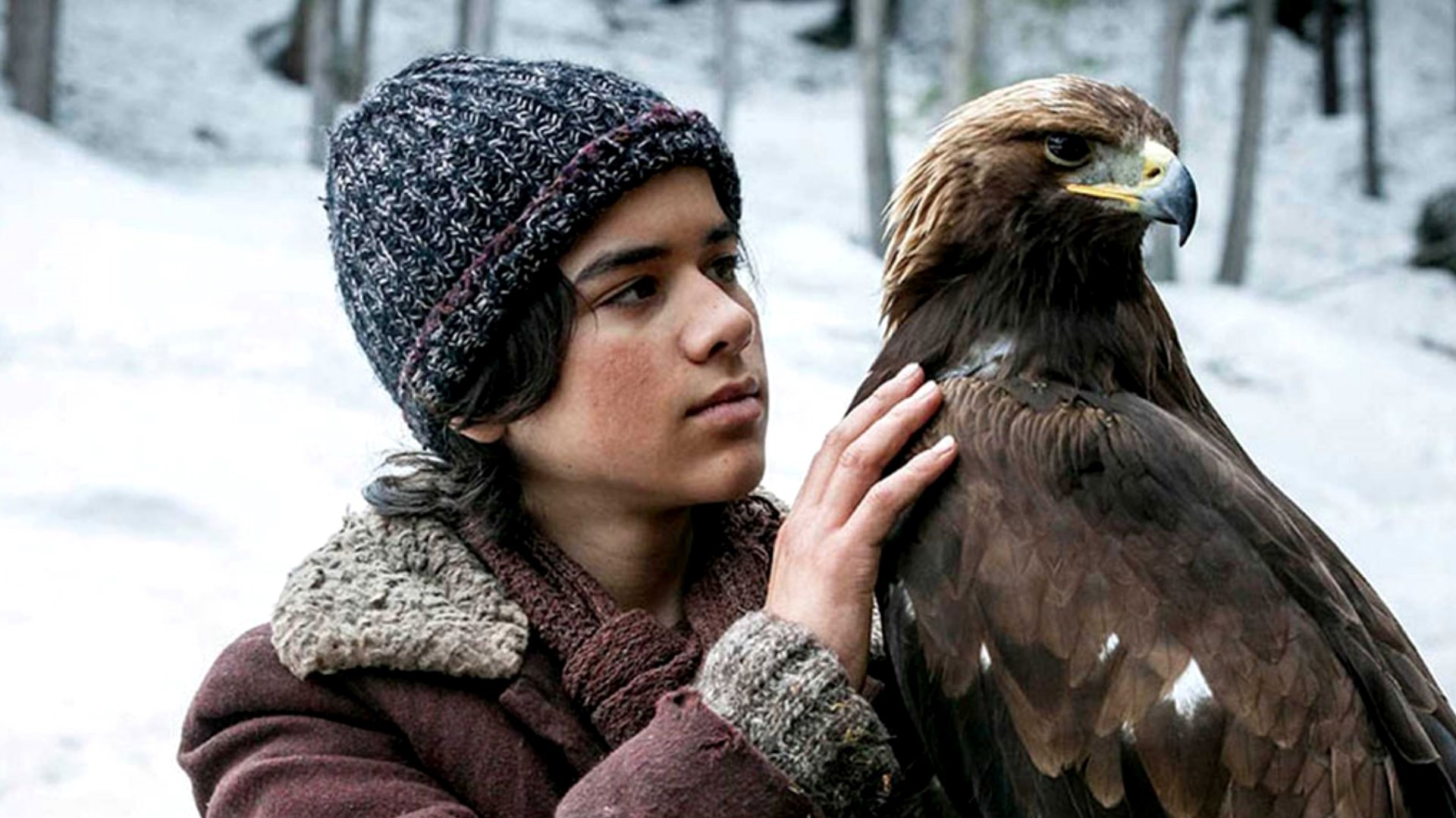 Image du film L'Aigle et l'Enfant efs0ba8ic2f7lkvafvvh932bhqhjpg