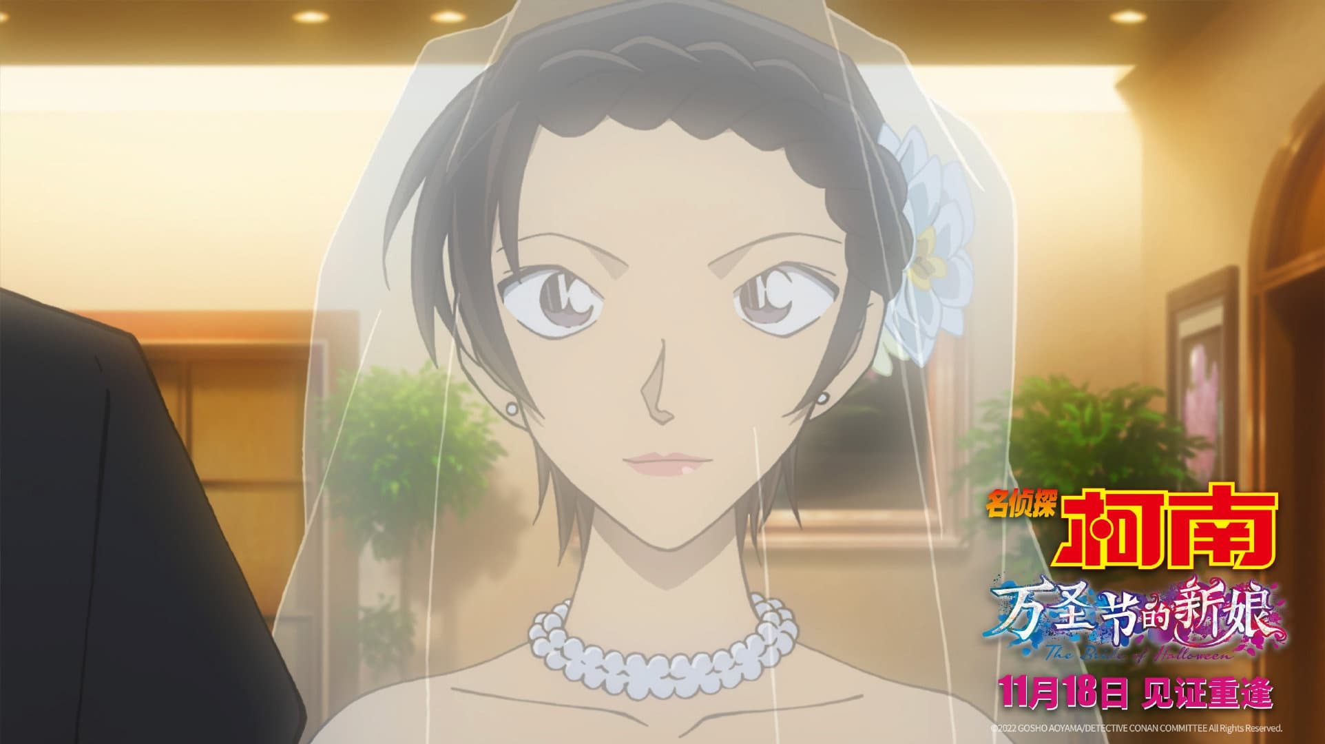 Detective Conan: The Bride of Halloween