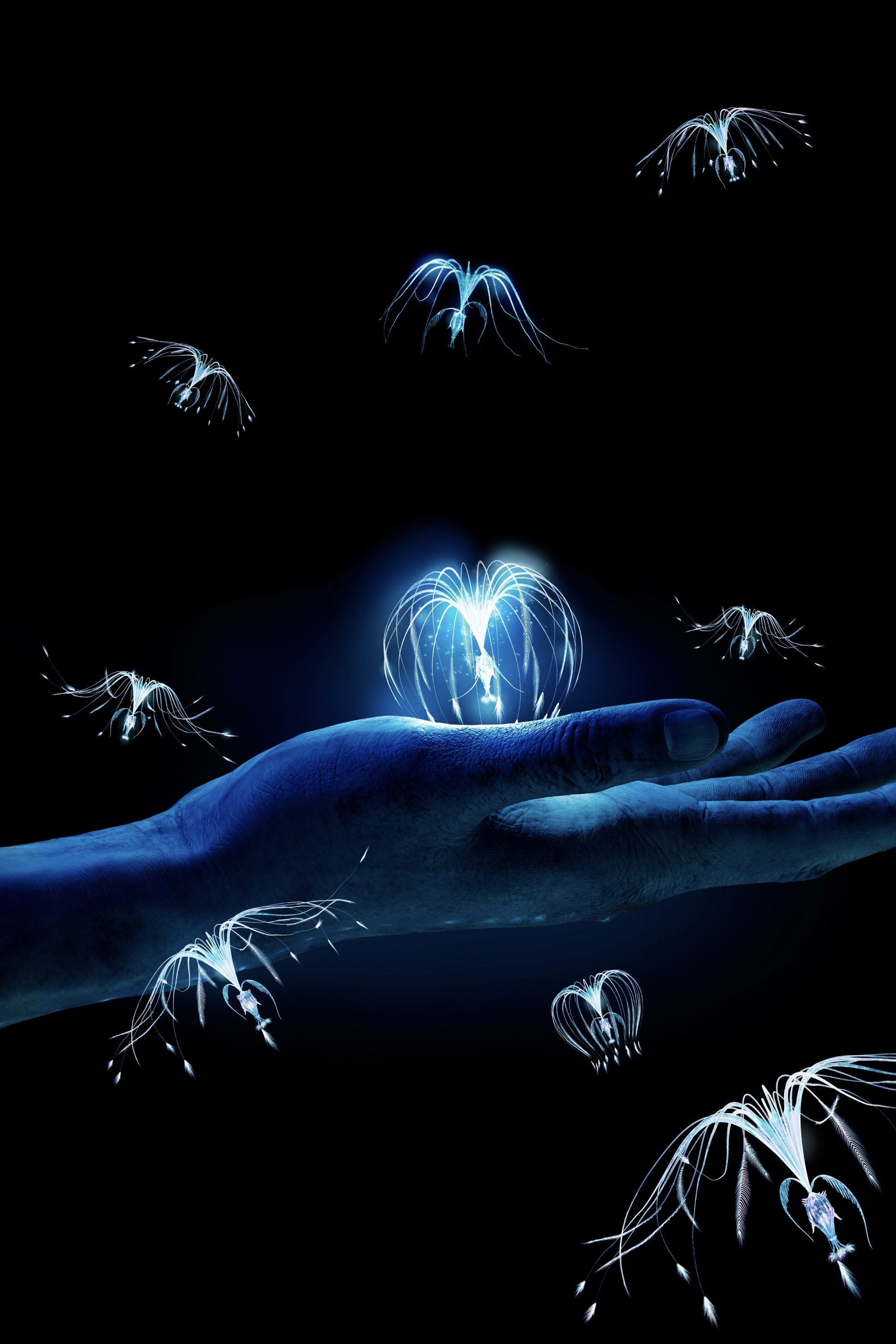 TMDB Image TMDB Image
