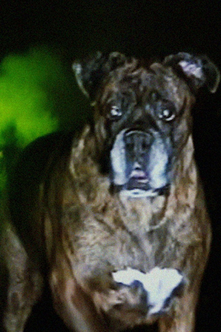 et billede af Brooklyn