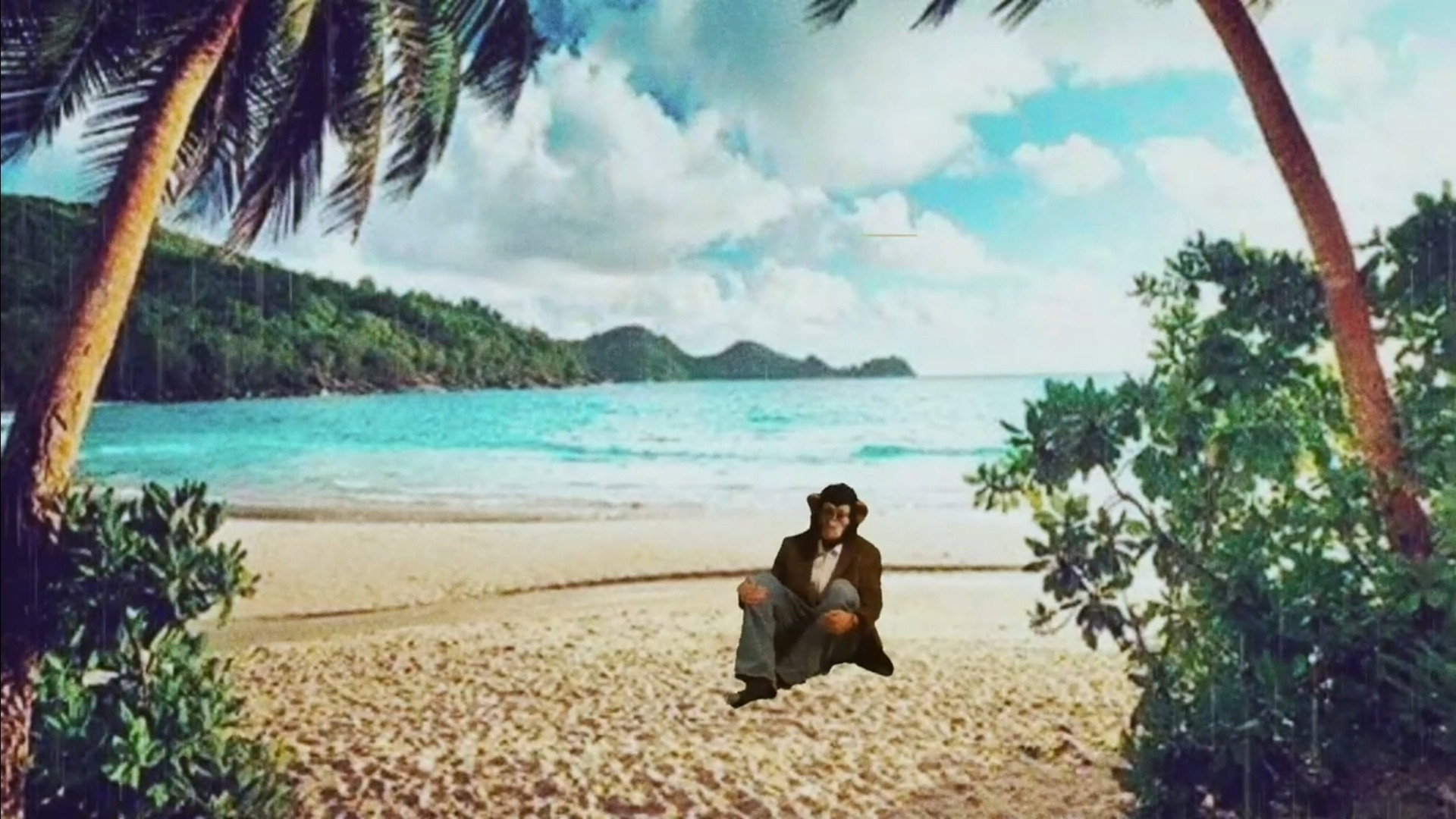 Planet of the Cast Away, Lost Ape
