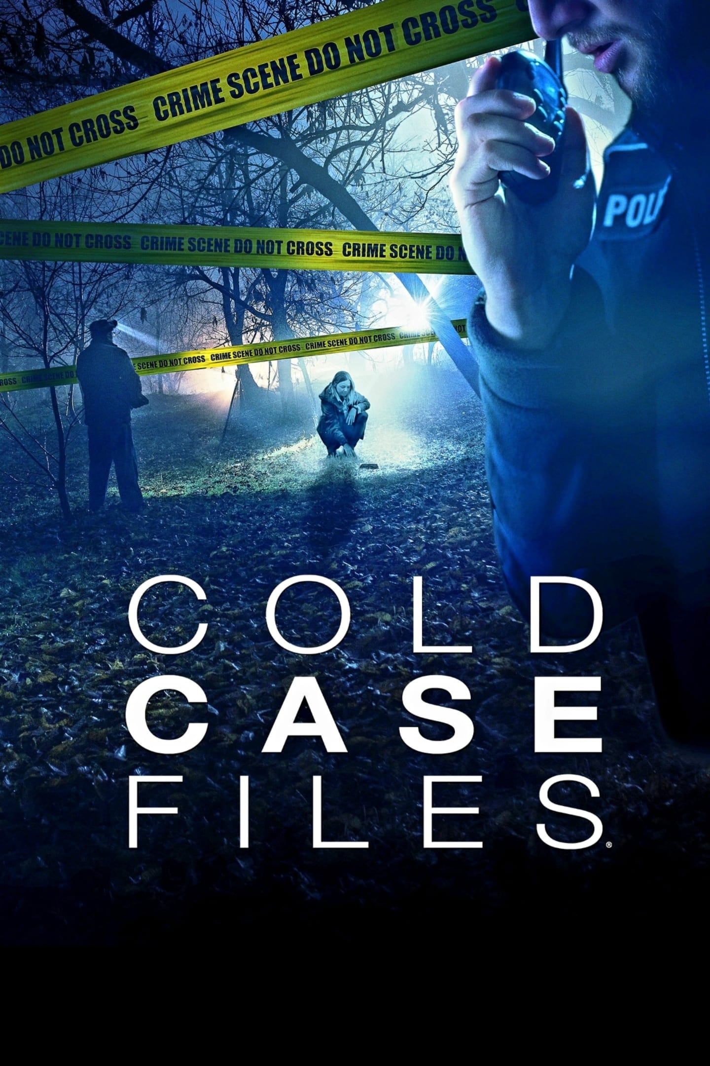 Cold Case Files TV Shows About Crime Scene